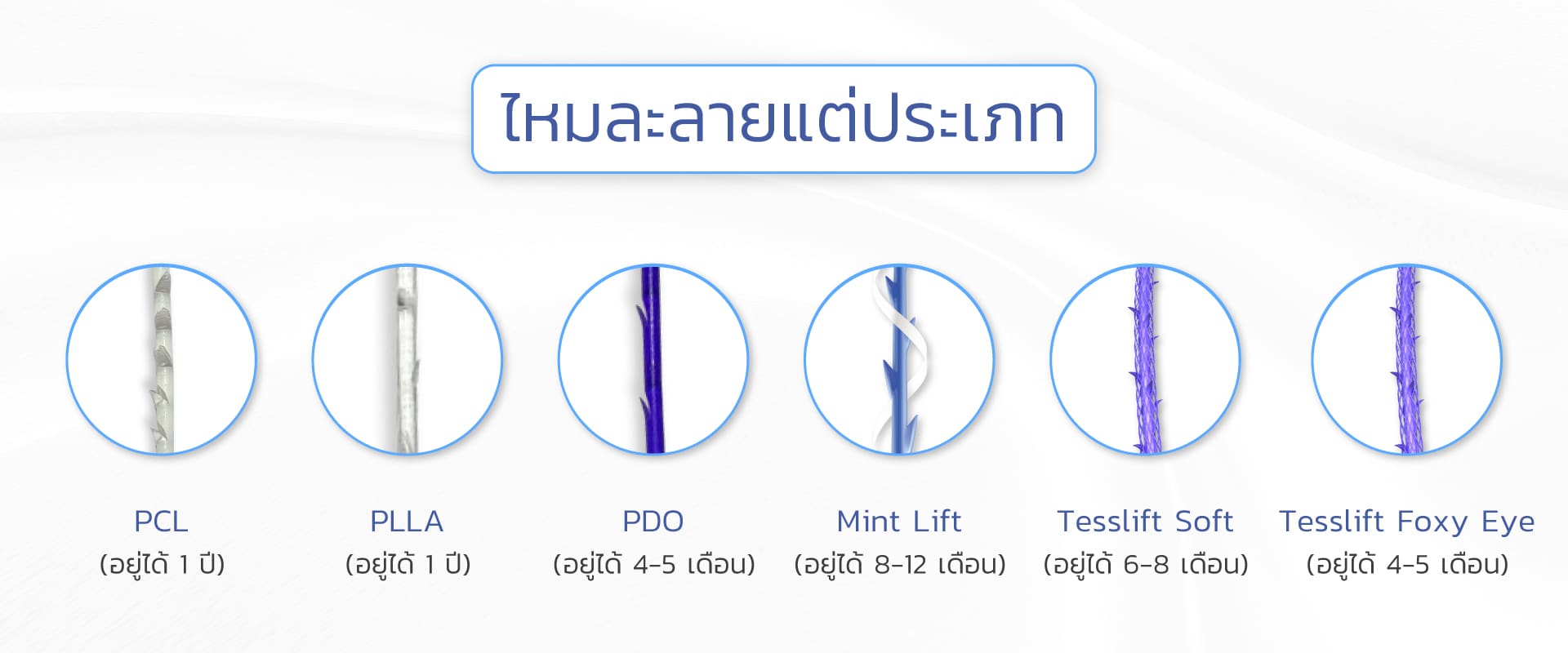 ไหมละลายแต่ละชนิด