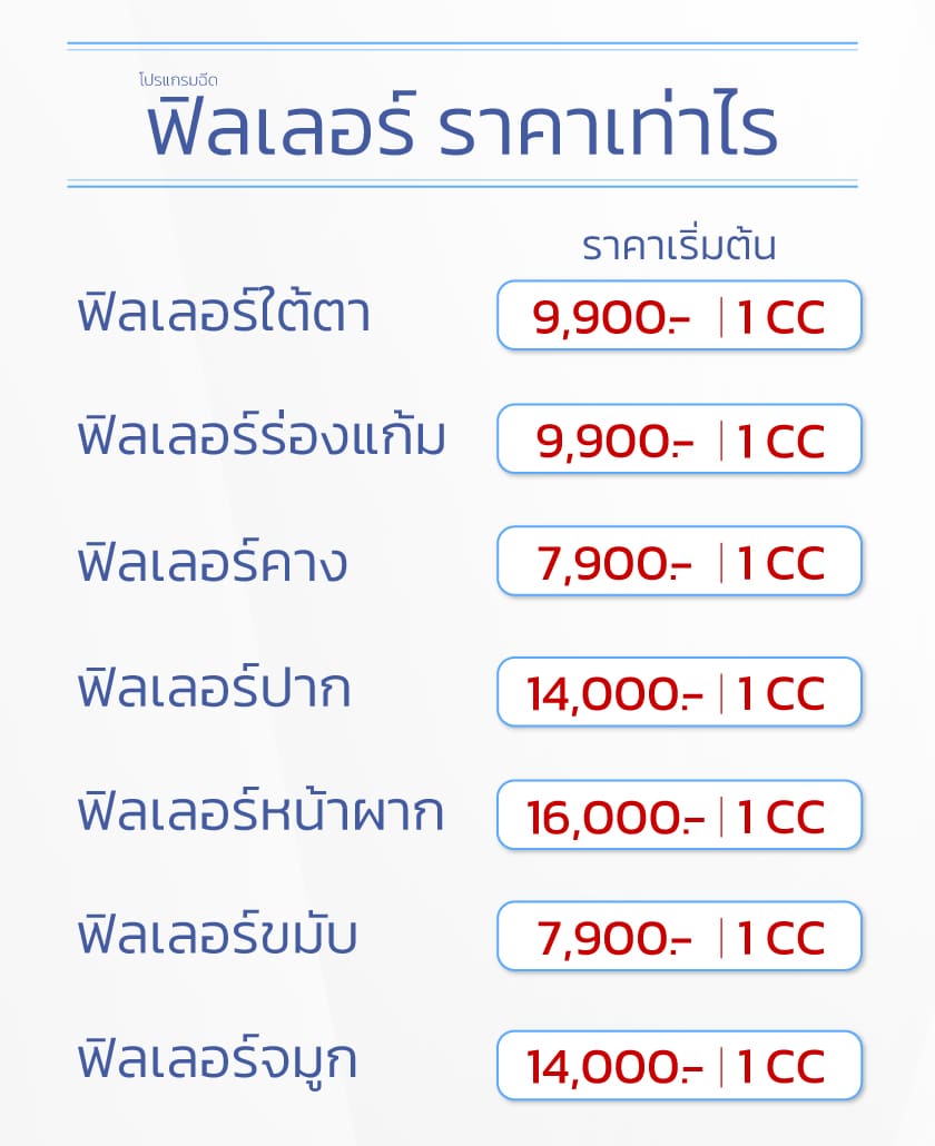 ฟิลเลอร์ราคา