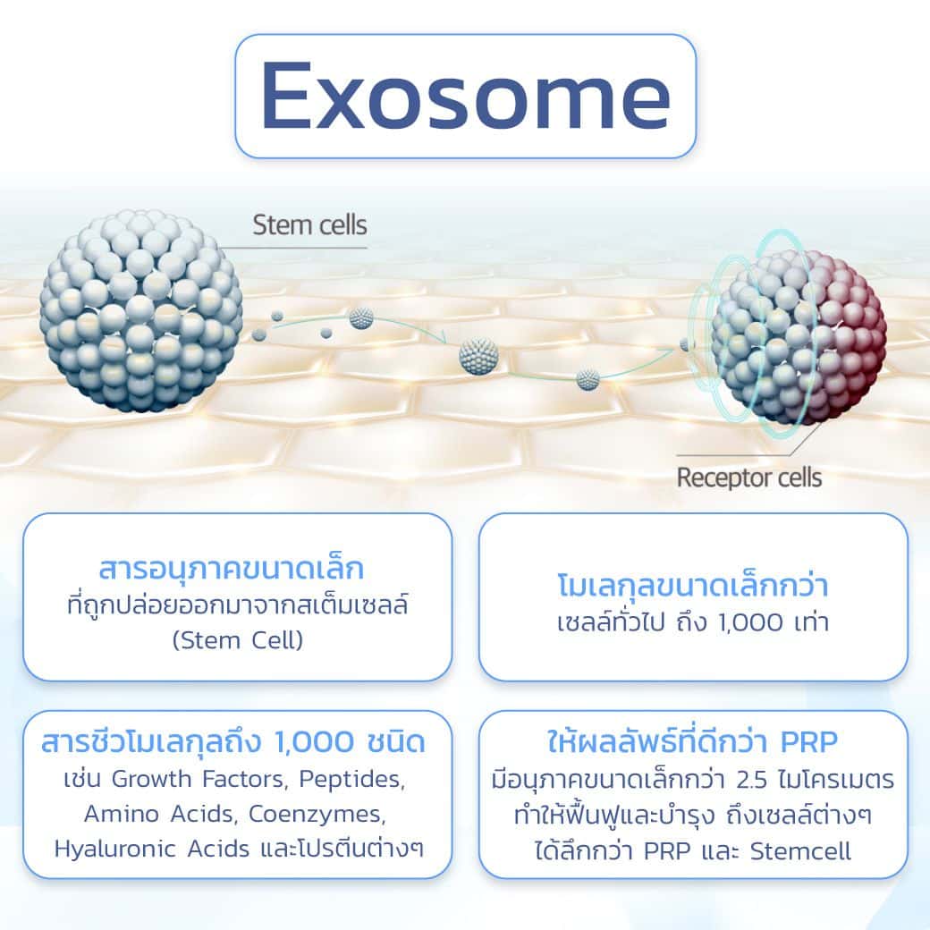 Exosome