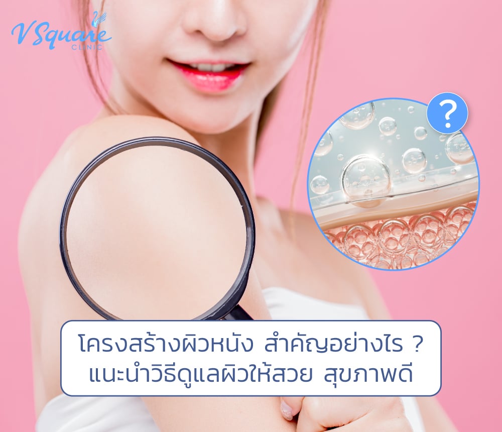 โครงสร้างของผิวหนัง