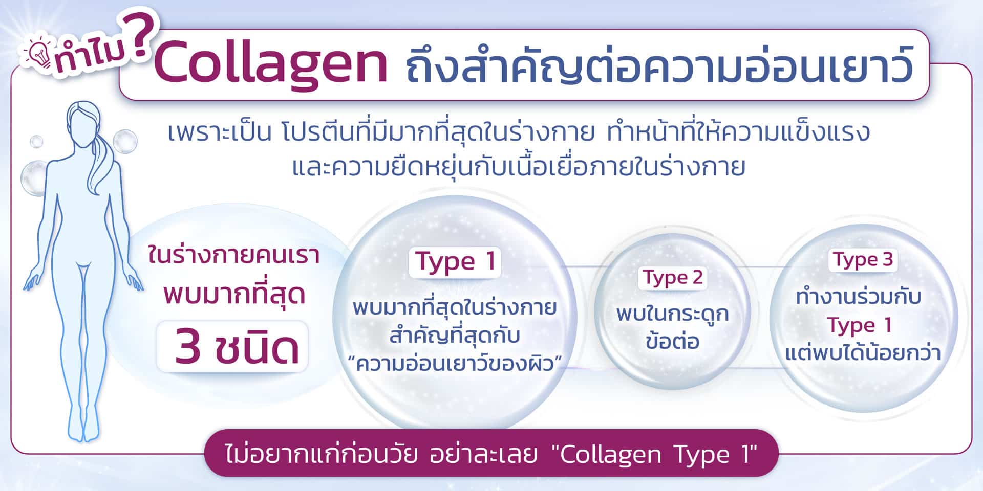 Collagen คืออะไร